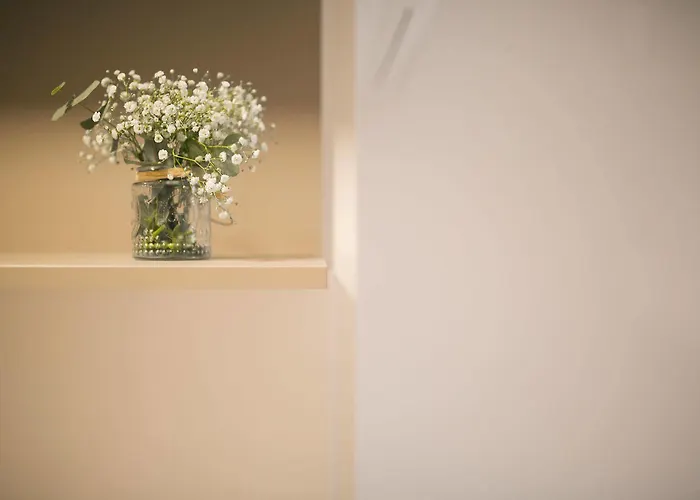 Flateli - Placa Catalunya 22